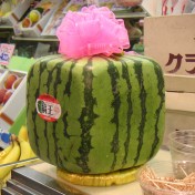 Wassermelonen als erfischender Durstlöscher im Sommer best food ever